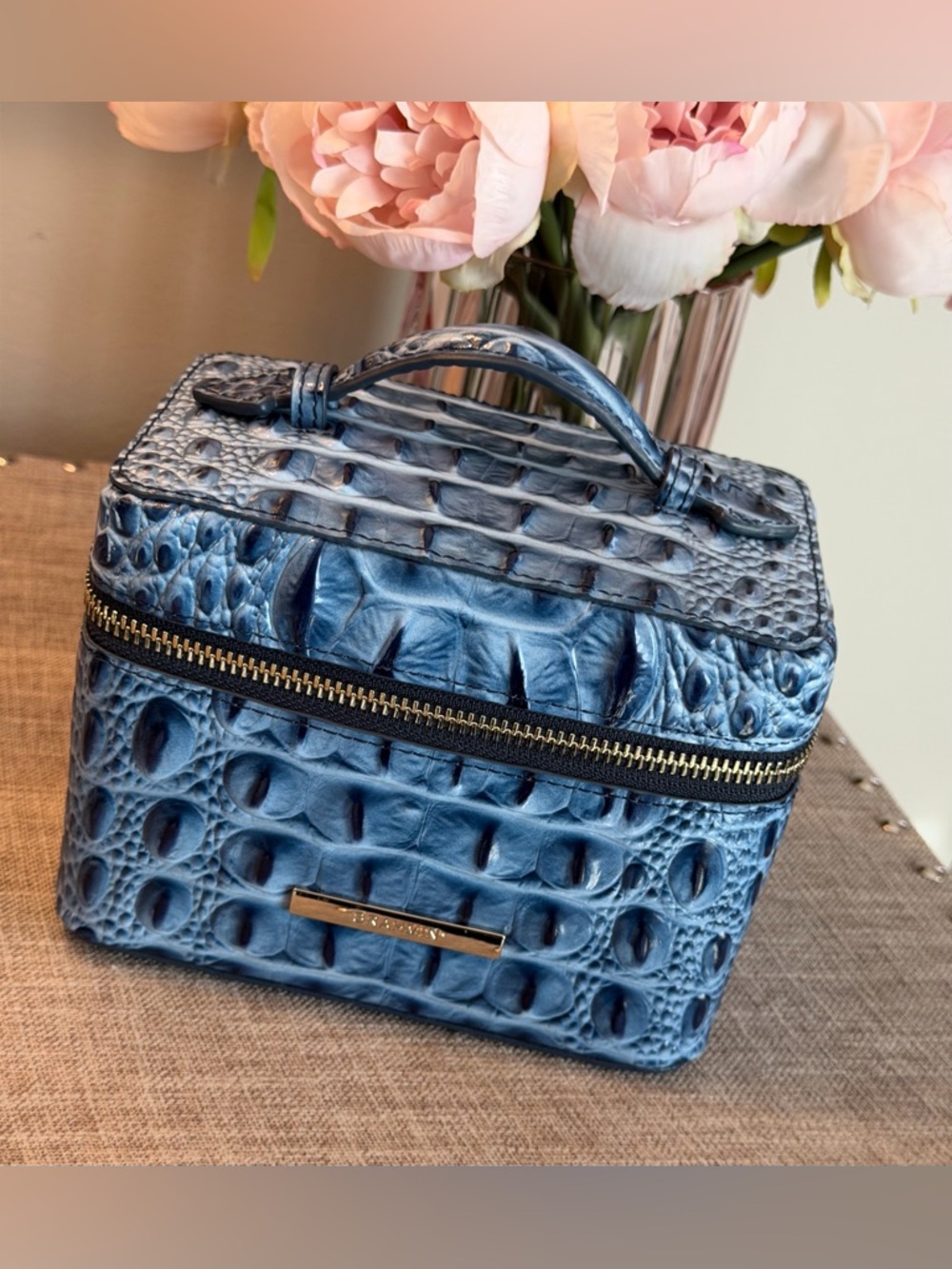 NWOT Brahmin Small Charmaine Heavenly Blue Croc-Embossed Vanity  Case Price FIRM